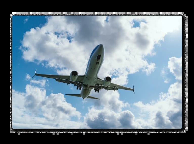 Air Freight Services | Beeontrade