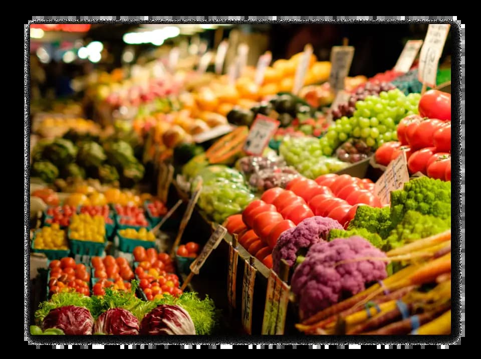 Food Logistics and Distribution