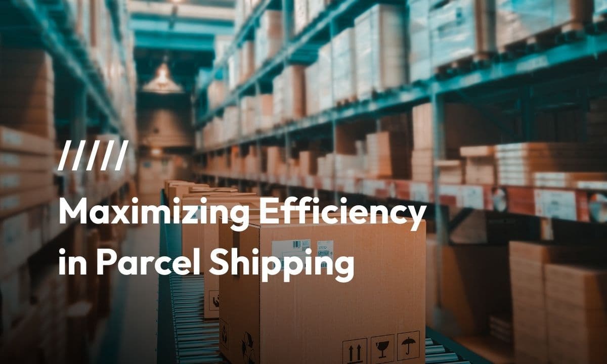 Maximizing Efficiency in Parcel Shipping